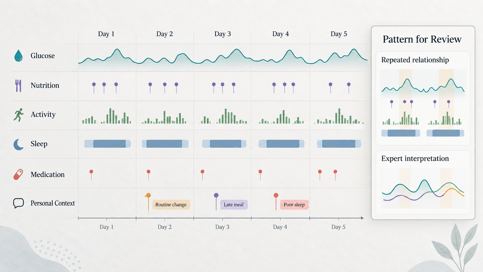 Illustrative longitudinal research timeline aligning glucose, nutrition, activity, sleep, medication and personal context